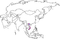 <p>Southeast Asia</p>