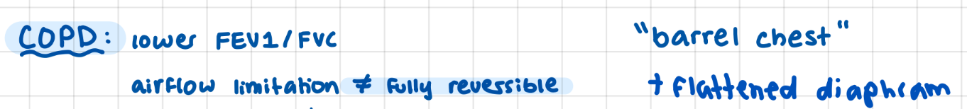 <p>chronic obstructive pulmonary disease</p><p>airflow limitation not fully reversible</p>