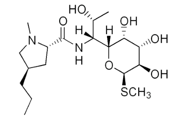 <p>[LINCOSAMIDES]</p><p>a. Lincomycin</p><p>b. Clindamycin</p><p>c. Chloramphenicol</p>