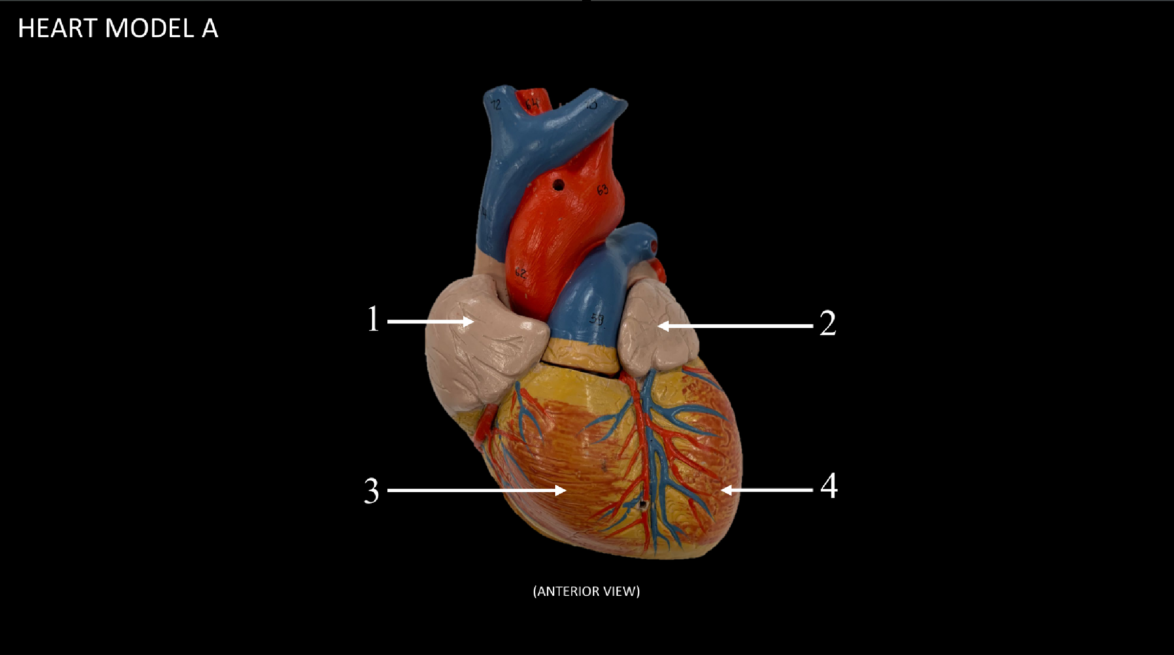 <p>WHAT IS 2 CALLED?</p>