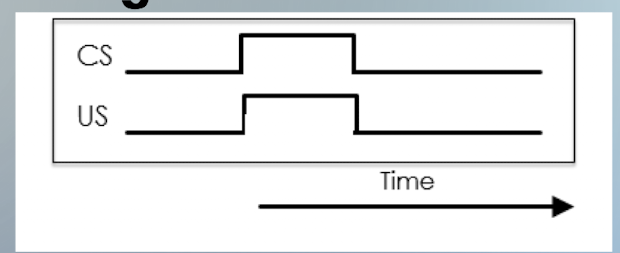 <ul><li><p>CS and US presented at the same time </p><ul><li><p>turn on and off at the same time </p></li></ul></li><li><p>learning is slower - acquisition is much slower </p></li><li><p>e.g. bell and food presented at the same time </p></li></ul><p></p>