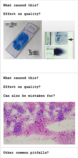 <p><span><strong>Common pitfalls – affecting sample quality</strong></span></p>