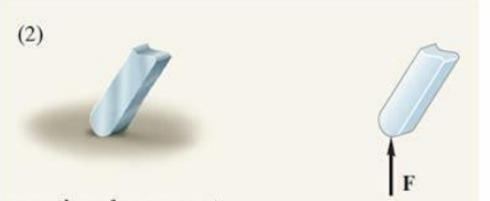 <p>What type of support is this and how many reactions does it have?</p>