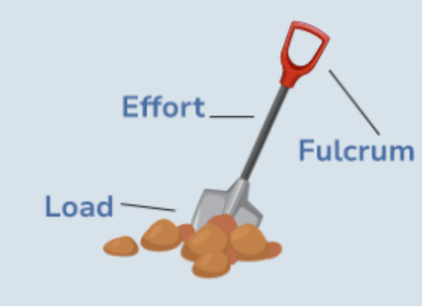 <p>3rd class lever (spade)</p>