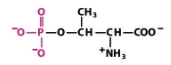 <p>What structure is this?</p>