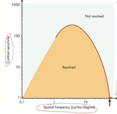 <p>Look at the red dot on the graph. As the shown spatial frequency, what is the contrast threshold? What does this mean?</p>