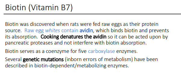 <p>genetic mutations (inborn errors of metabolism)</p>