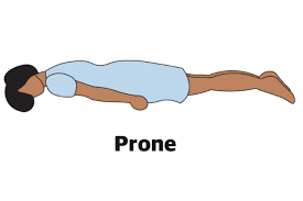 <p>Prone position?</p>