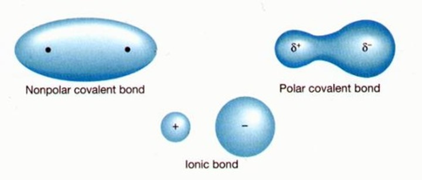 <p>uneven sharing of electrons between elements in a covalent bond</p>