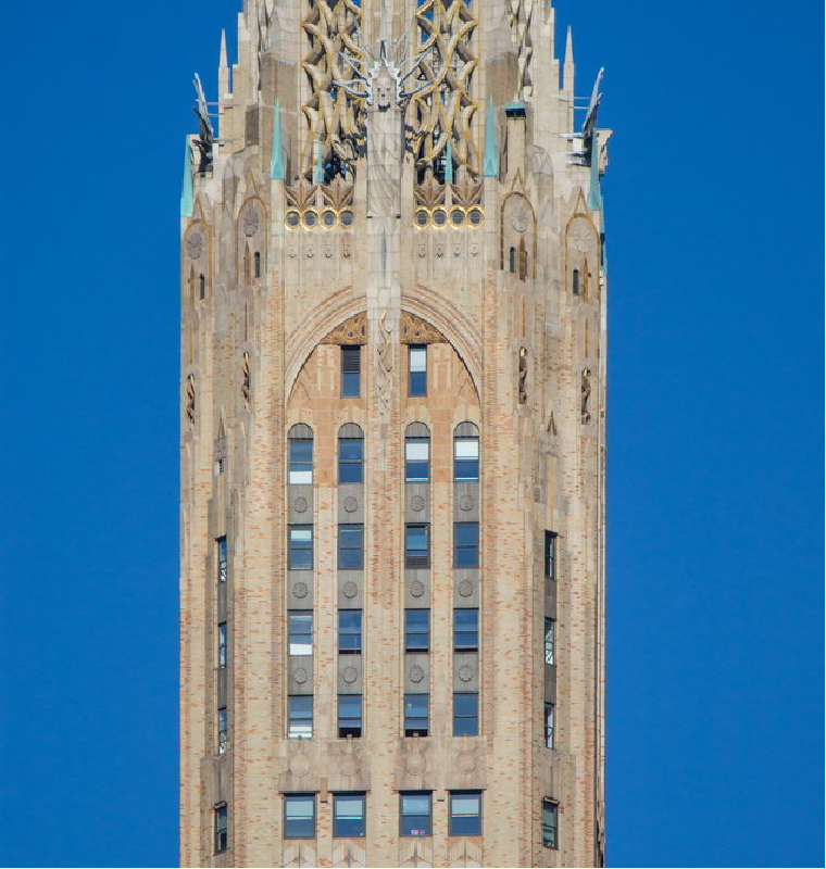 term image
