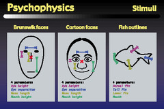 <p>The study of relationships between the physical characteristics of stimuli, such as their intensity, and our psychological experience of them.</p>