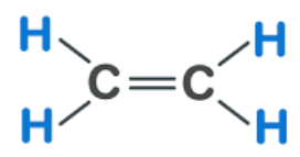 <p>3 electron domains </p><ul><li><p>One ‘s’ and two ‘p’ orbitals hybridize</p></li><li><p>One unhybridized ‘p’ orbital remains to form a pi bond</p></li></ul><p></p>