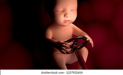 <p>Answer: D Charlotte Weaver</p><p>Why?</p><p>Weaver described embryologic segmentation as the directing of essential materials to their correct locations.</p>