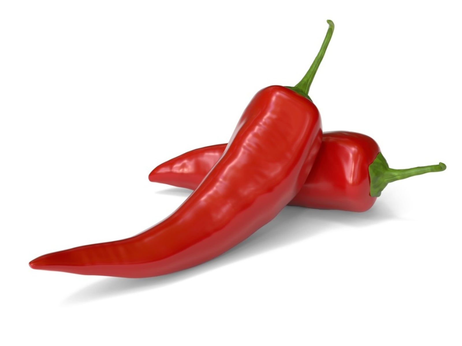 <p>chiles</p>