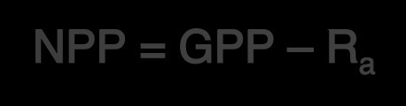 <p>Is GPP minus energy used by primary producers for their autotrophic respiration (Ra) </p><ul><li><p>NPP is usually about ½ of GPP </p></li></ul><p></p>