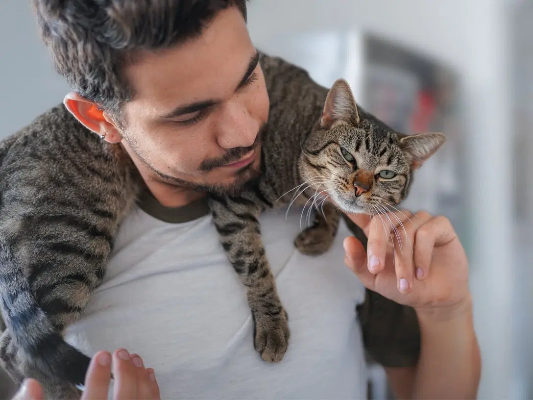 <p><strong>be draped all over someone</strong></p>