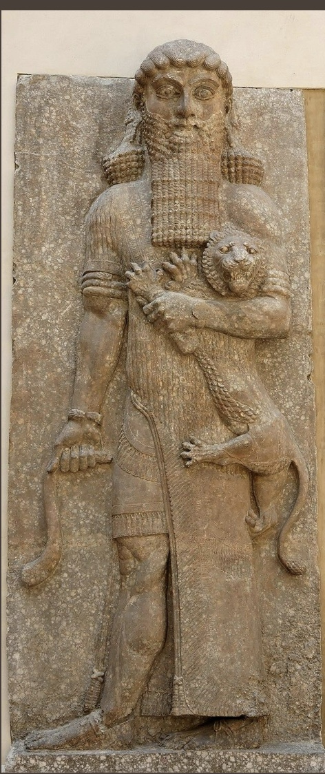 term image