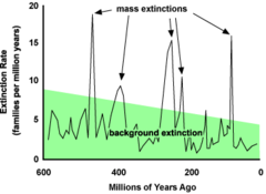 <p>Normal extinction of various species as a result of changes in local environmental conditions.</p>