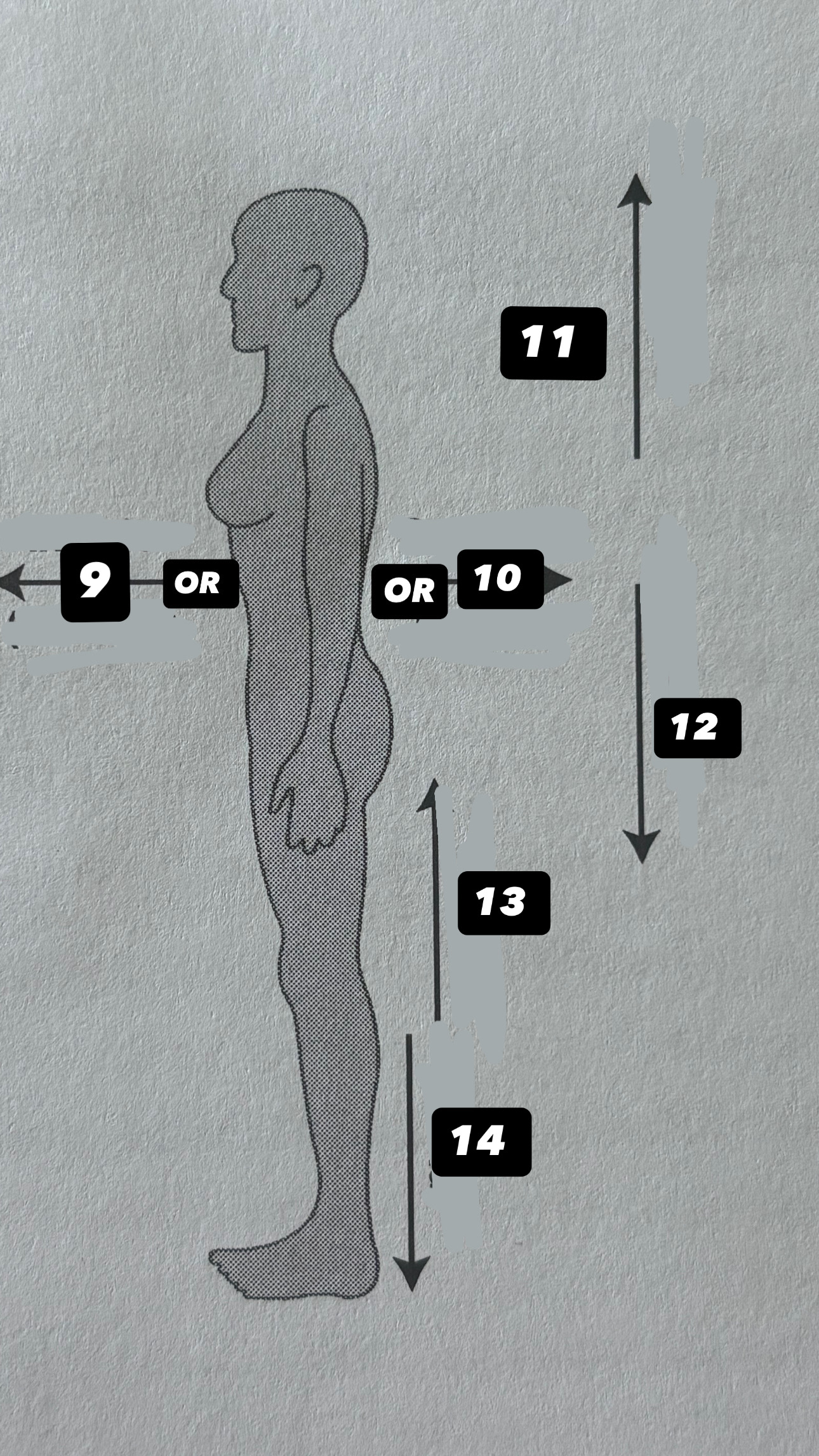 <p>what is 12?</p>