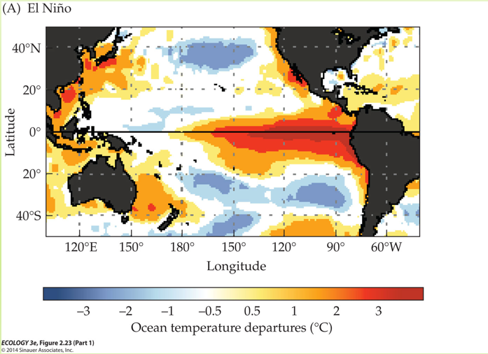 <p>El Niño is a 9-month-long oscillation that occurs once every 2-7 years.</p><p>Normally, warm water in the Pacific moves westward towards Asia and Australia.</p><p>El Niño reverses causes warm water to move east. This incoming warm water increases the temperature of water on the western coast, resulting in warmer and wetter environments than normal.</p>