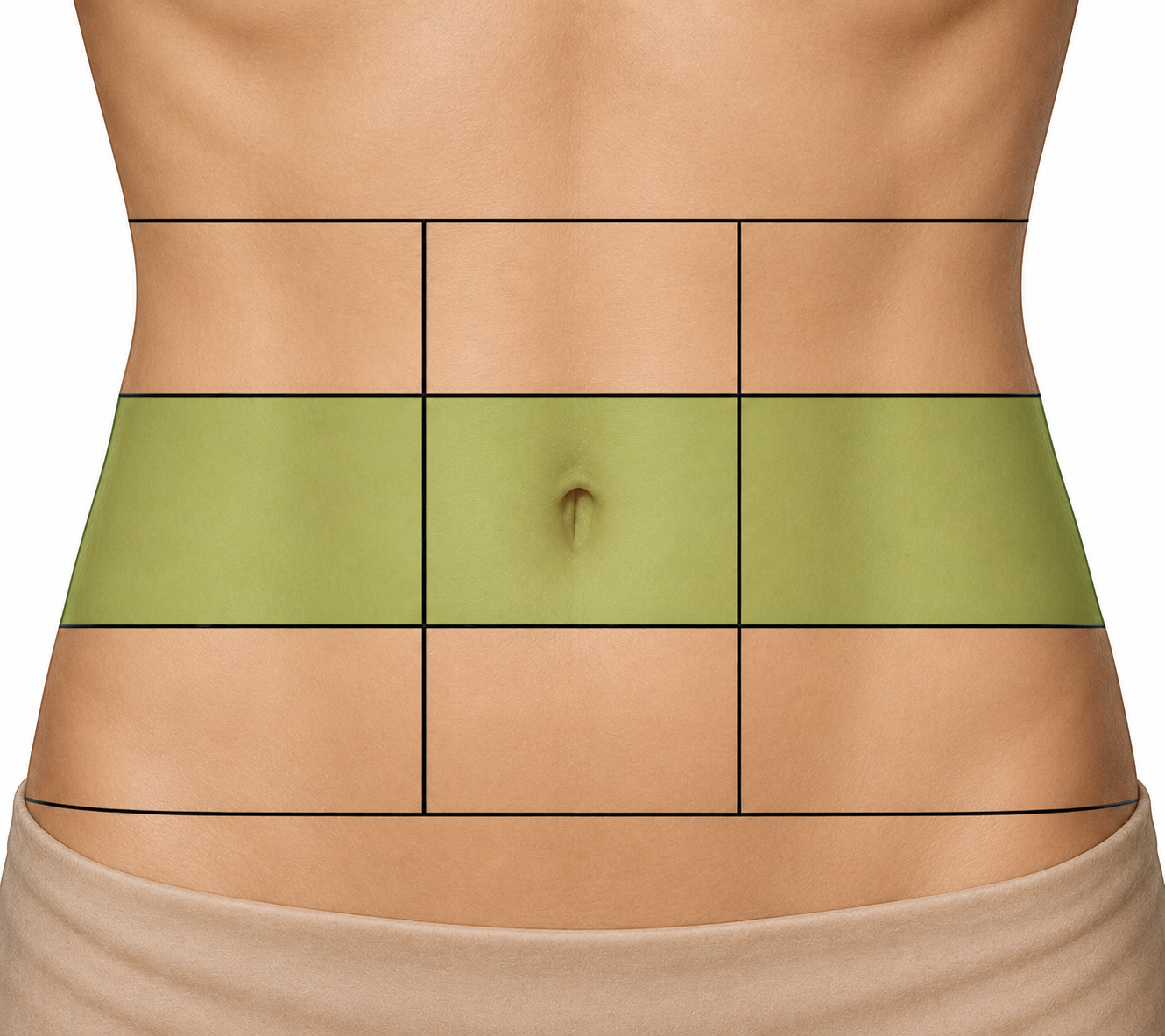 <p>Name the three middle abdominal regions from right to left.</p>