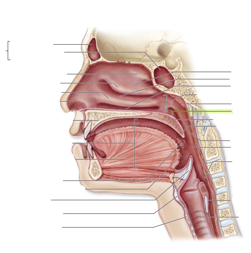 <p>what is this </p>