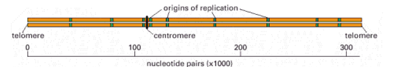 <p>multiple</p>