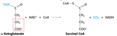 <p>A oxidation and decarboxylation reaction catalyzed by the α-ketoglutarate dehydrogenase complex where the α-ketoglutarate goes to succinyl-CoA (4C). The C1 will leave as a CO2 molecule, NAD+ oxidizes the molecule.</p>