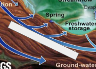 <p>The Water Cycle: Name the step</p>