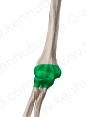 <p>Name Joint</p>