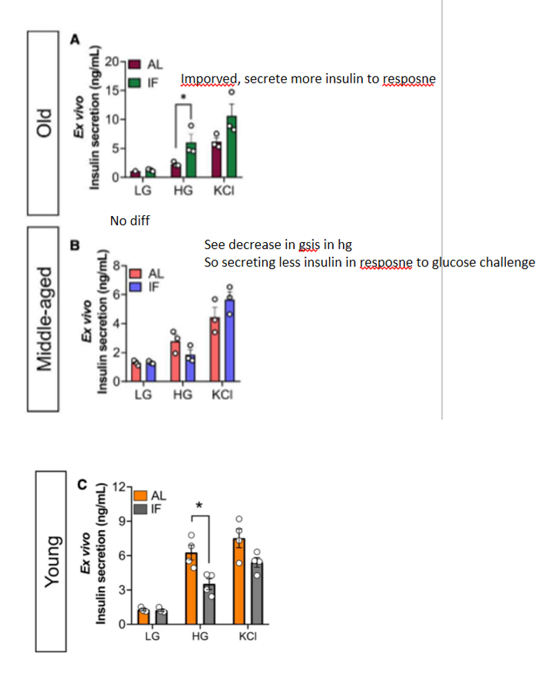 <p>at LG, islets from the LT IF and control groups secreted similar insulin levels; LT IF improved GSIS in old mice in HG conditions, but had no effect in middle-aged mice; in young mice, LT IF reduced GSIS in HG conditions compared to control feeding</p>