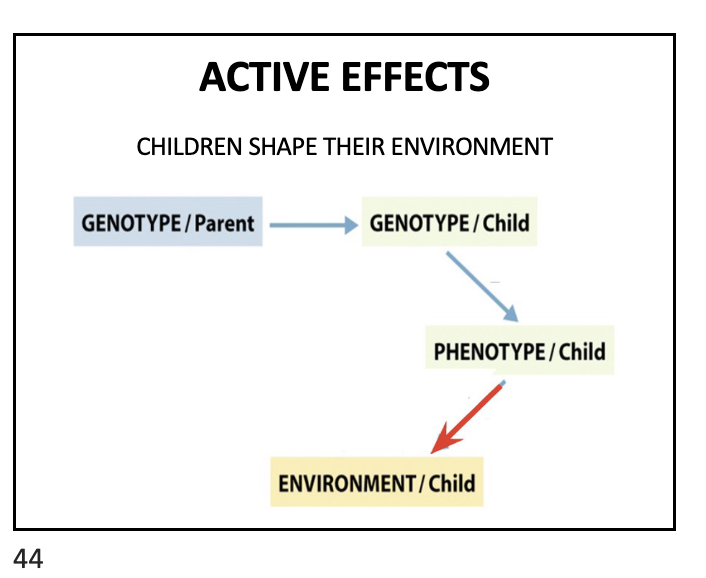 <p>what does the arrow from child phenotype pointing to environment child mean</p>