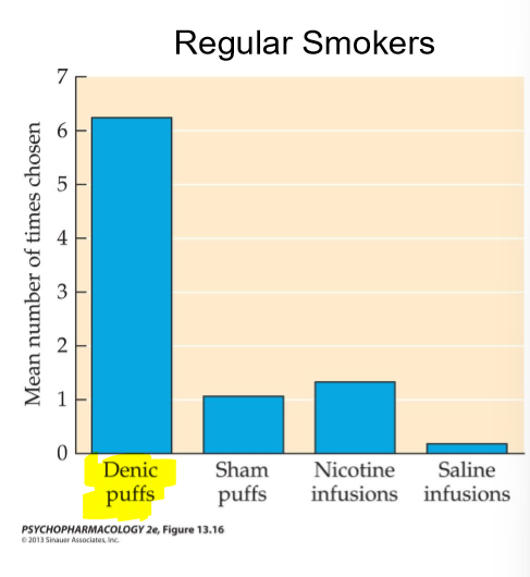<p>sensory stimuli associated with the act of smoking</p><ul><li><p>i.e. actually holding the cigarette etc</p></li><li><p>denic puffs had the highest</p></li></ul><p></p>