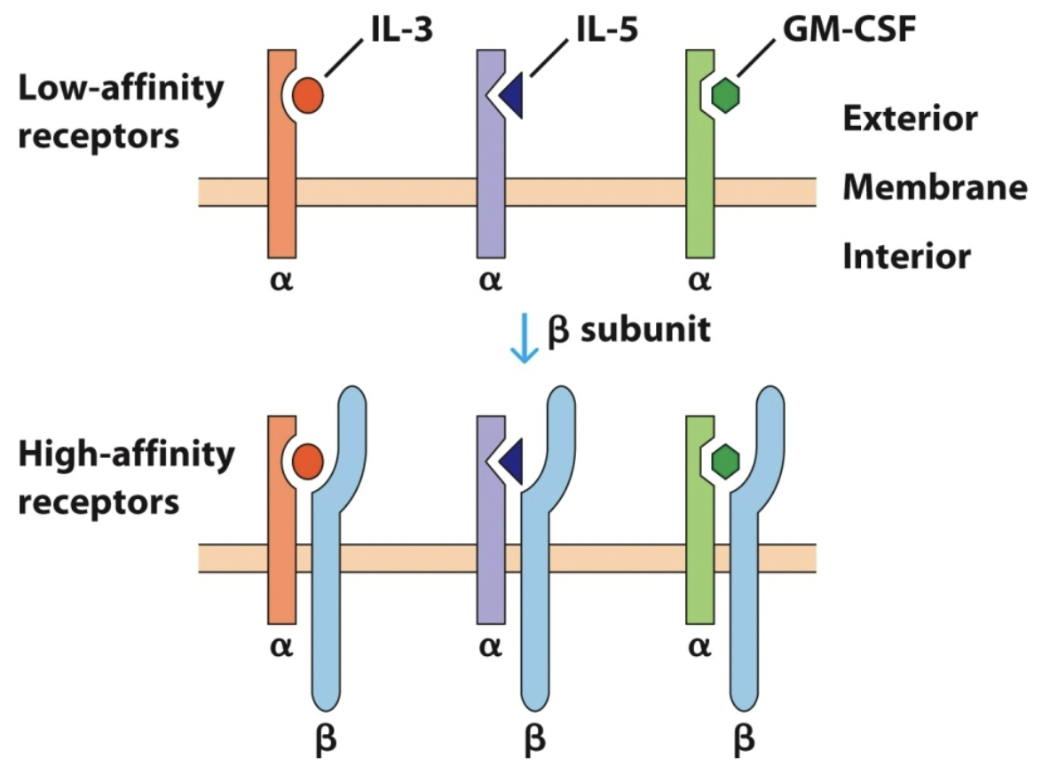 <ul><li><p>Which row is public chain?</p></li><li><p>Which row is private chain?</p></li></ul><p></p>