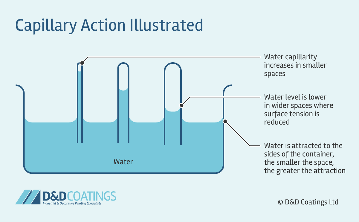 <p>The ability of water to up narrow tubes</p>