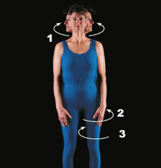 <p>to turn or rotate a body part on its axis</p>