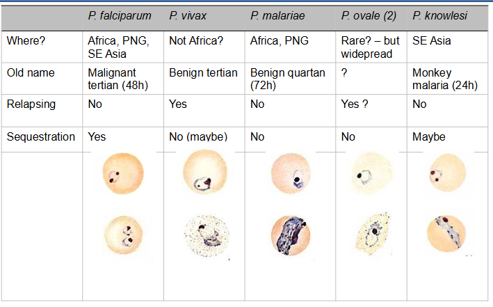 <p>- not super important right now</p>