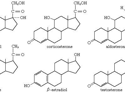 <p>structure of steroids</p>