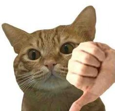 <p>讨厌（tǎo yàn）</p>