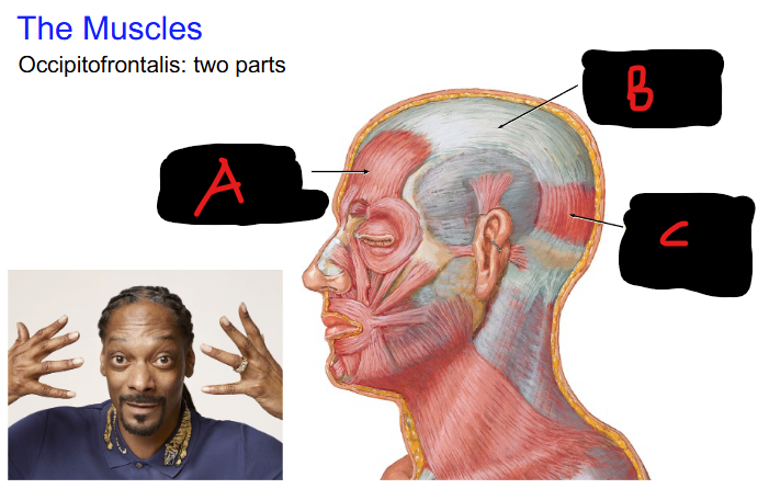 <p>Define C</p>