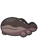 <p>Suelord</p>