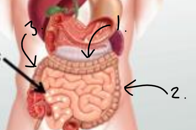 <p>Label this image.</p>
