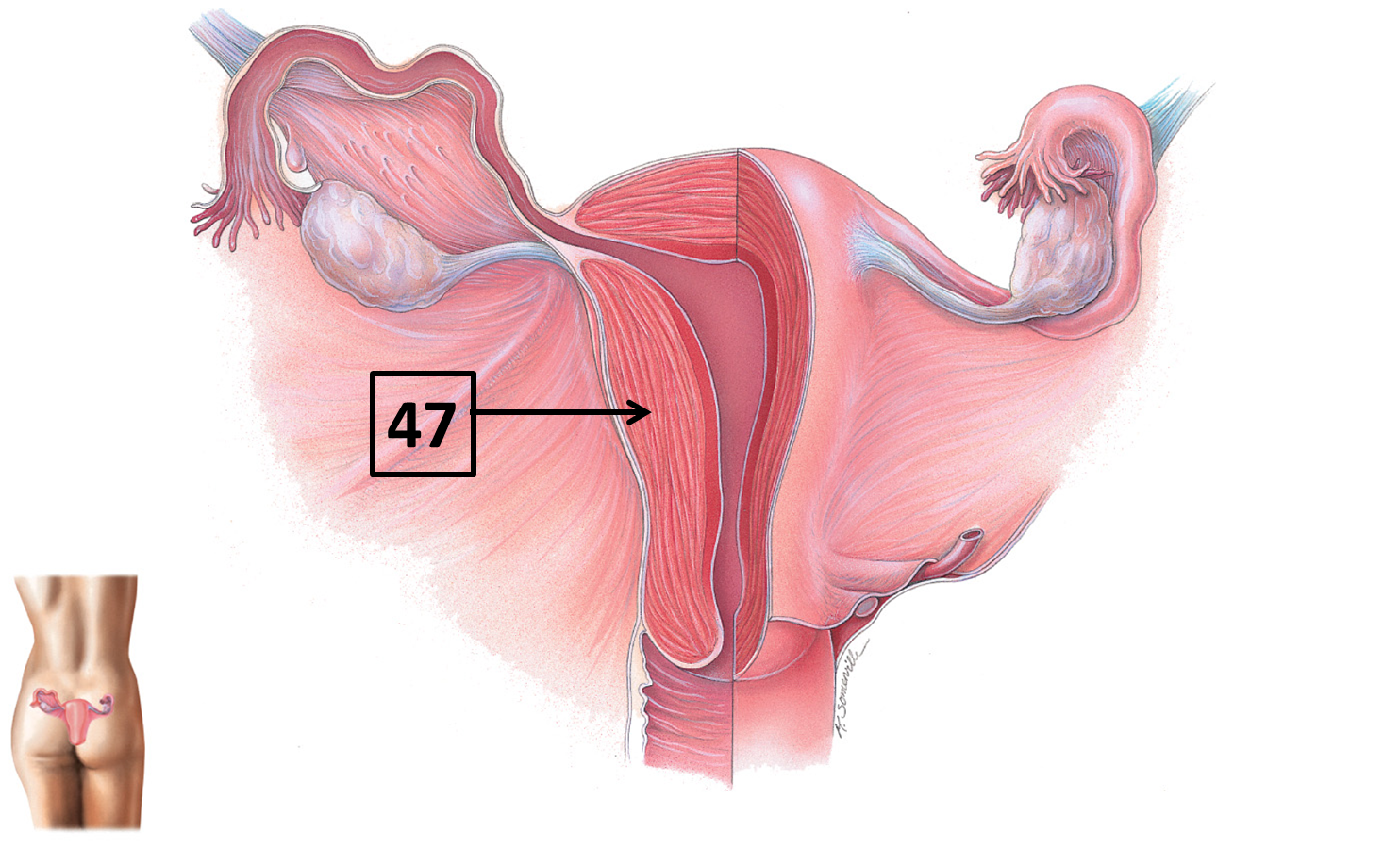 <p>Name and function </p>