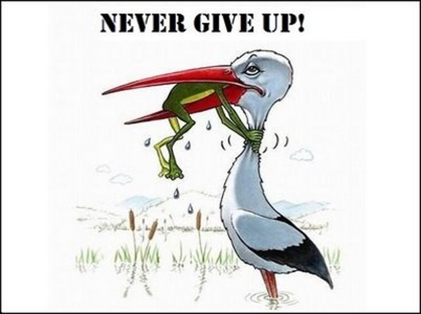 <p>never</p>