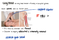 <p>F ABd IR</p>