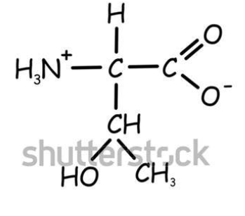 <p>What is this amino acid?</p>