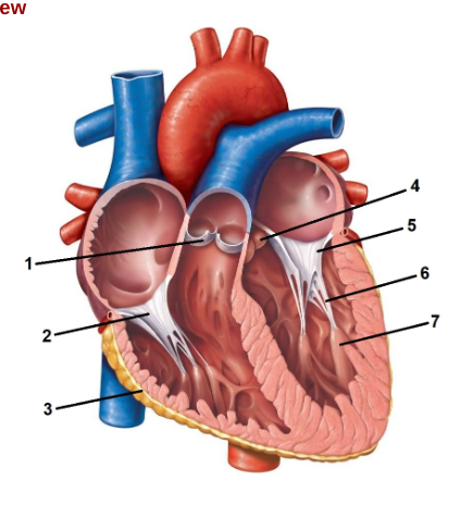 <p><span style="background-color: transparent;">1) What is #2?</span></p><p><span style="background-color: transparent;">2) What does it do? </span></p>