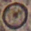 <p>Dónde está el cariosoma en Entamoeba histolytica?</p>