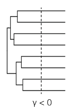 <p>(measuring diversification)</p><ul><li><p>excess of old nodes</p></li><li><p>γ will be negative</p></li><li><p>evidence for adaptive radiation</p></li><li><p>skewed to left</p></li></ul><p></p>