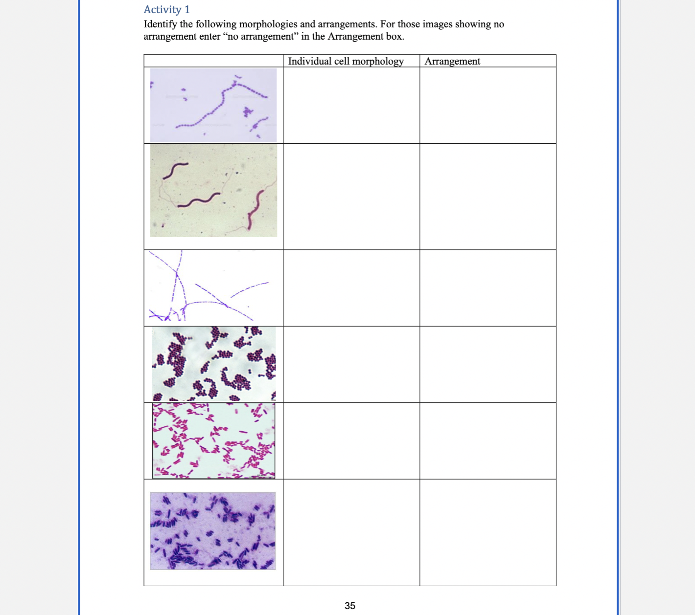 <p>spiral bacteria are bent rods</p><p>Vibrio: little spiral and appear as a comma</p><p>Spirillum: little more spiral, rigid, and S shaped</p><p>Spirochetes: extremely spiraled but are more flexible</p>